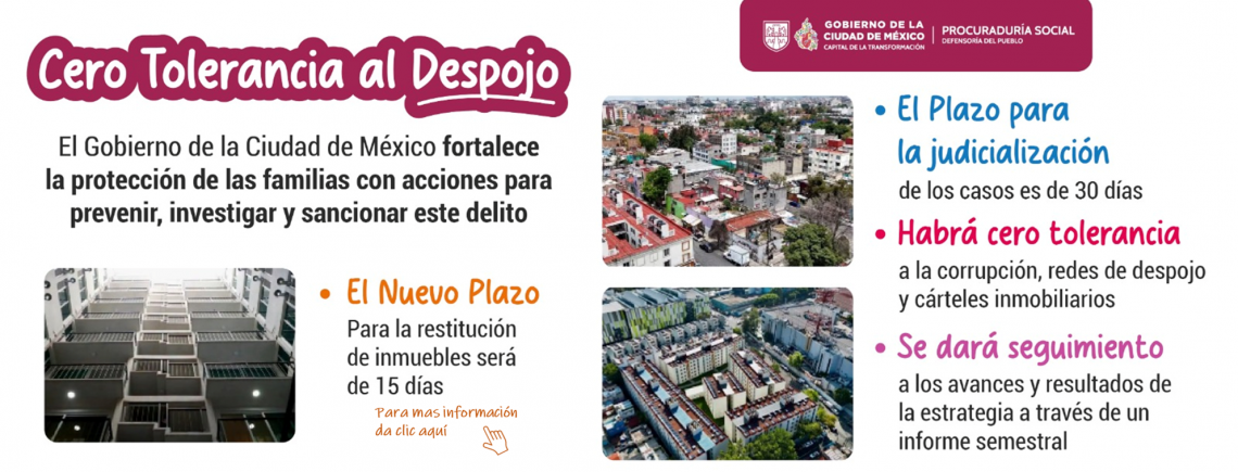 Bnner Despojo